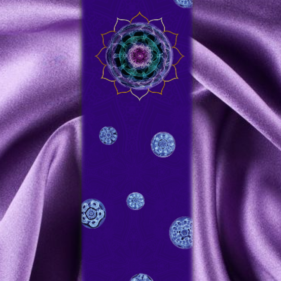 Store Catalog Cyma Technologies